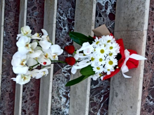 ÇİFT DAL ORKİDE PAPATYA GÜL