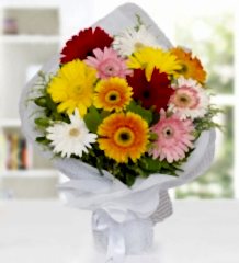 Renkli Gerbera Buketi