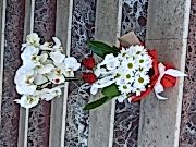 ÇİFT DAL ORKİDE PAPATYA GÜL